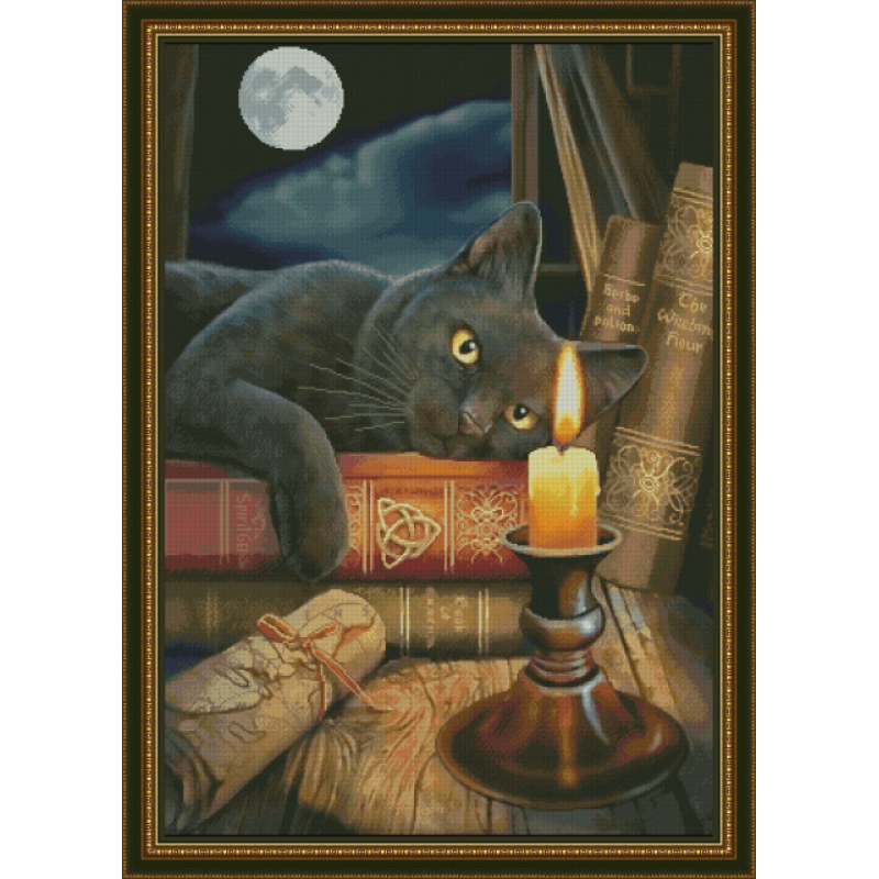 ТМ Фантазія набір для вишивання - Чаклунська година