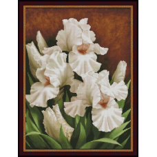 ТМ Фантазія набір для вишивання - Білі іриси